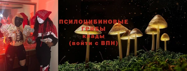 метамфетамин Алексеевка
