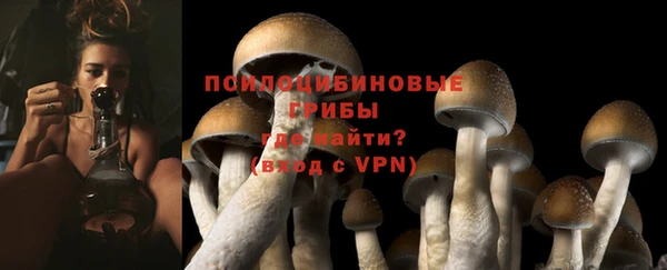 a pvp Осташков