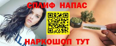 прущие грибы Тверь