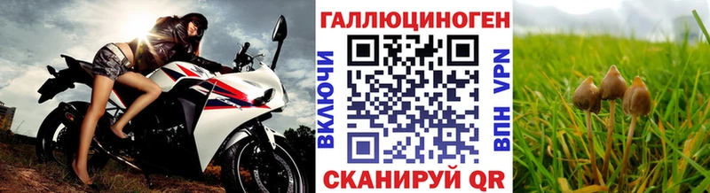 Псилоцибиновые грибы Psilocybine cubensis  Алексин 